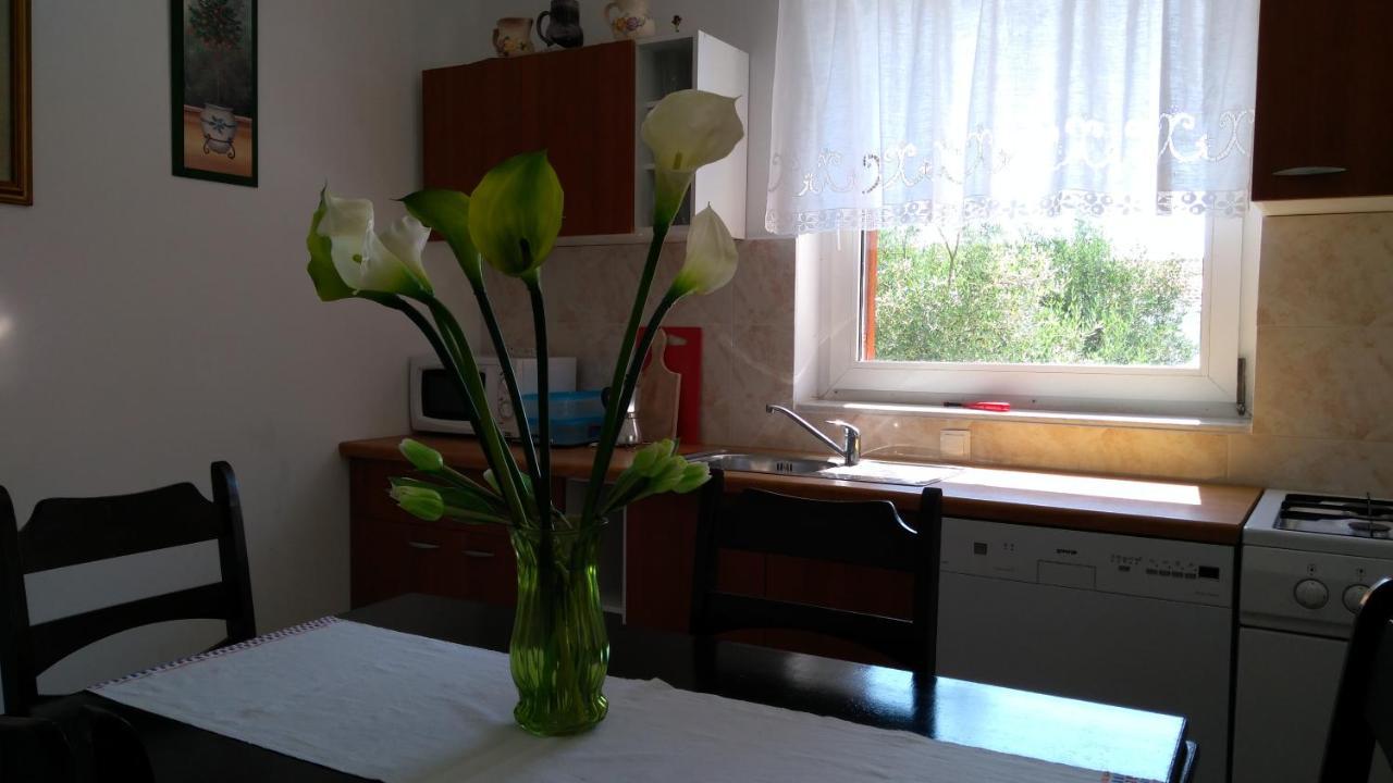 Apartman Ruza Brzac エクステリア 写真